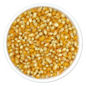 Burhan Popcorn Seeds 1Kg