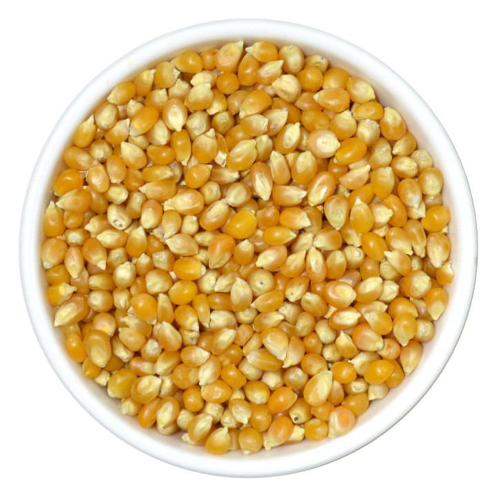 Burhan Popcorn Seeds, UAE, 1 kg