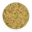 Burhan Uae Barley 1Kg