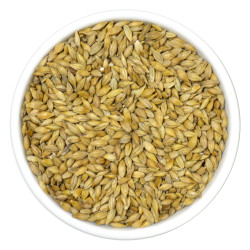 Burhan UAE Barley – 1 kg