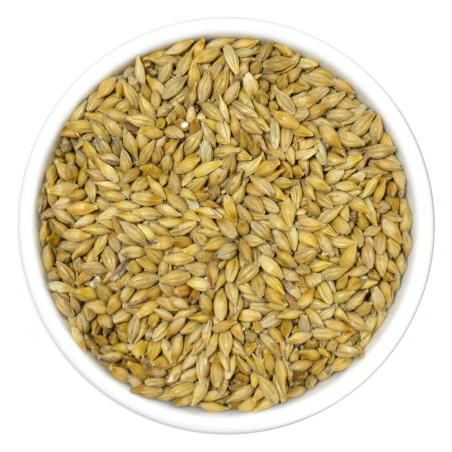 Burhan Uae Barley 1Kg