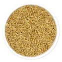 Burhan Indian Wheat Whole 1Kg