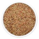 Burhan Horse Gram-Kulthi 1Kg