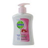 Dettol Skin Care Hand Wash 200Ml