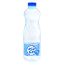 Aqua Gulf Water 500Ml