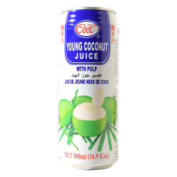 Ice Cool Coconut Drink Can 500Ml