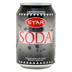 مشروب الليمون المالح بالصودا 300 مل