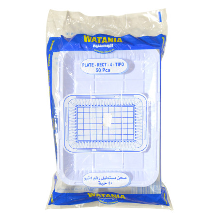 Disposable #04 Rectangle Plastic Plate 50P