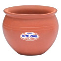 Mitticool 150Ml Clay Jelly Cup 1Pcs