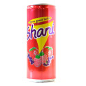 Pepsi Shani Fruits Can 250Ml