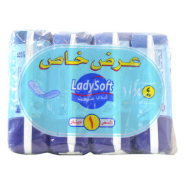 Lady Soft Maxi Sanitary Napkins, 10 pads