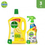 Dettol (3Lx2)+500Ml Combo Lemon Floor Cleaner 1Pc