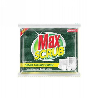 Max Sponge Regular 2 In 1 1 Pc