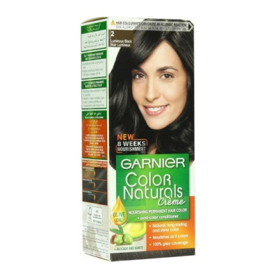 Garnier No.2 Color 1Pc