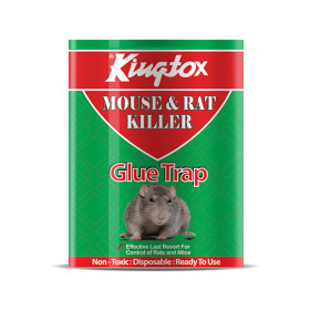 فخ لاصق للفئران كينج توكس 1 قطعة