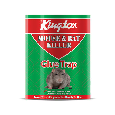 King Tox Mouse Glue Trap 1Pc