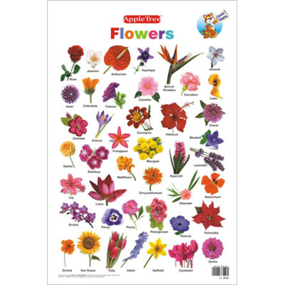 Alka Flowers Chart 1Pcs