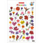 Alka Flowers Chart 1Pcs