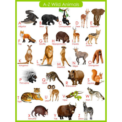 Alka Wild Animals Chart 1Pcs