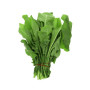 Bl Palak-Spinach 1Pc