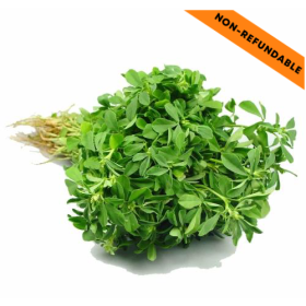 Bl Methi Leaves 1Pc