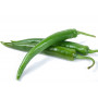 Bilal Green Chilly Long 1Kg