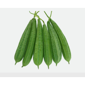 حارس تلال عمرو 1 كيلو جرام