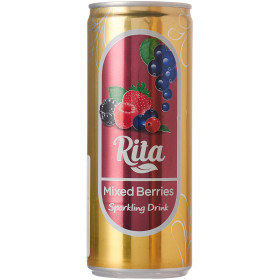 ريتا مشروب فواكه مختلطة صافي 240 مل