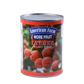 أمريكانا ليتشي في شراب ثقيل 565غ