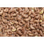 Burhan Roasted Cashew W240 With Shell 1Kg