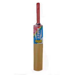 Burhan Galiyakot Bat No. 0, 1 pc