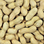 Burhan Peanut With Shell 1Kg