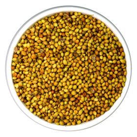 بُرهان كزبرة خضراء محمصة 1 كغ