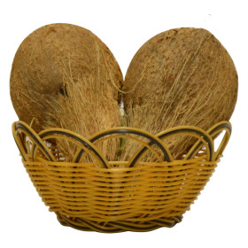 جوز الهند الطازج (١ قطعة)