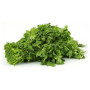 Bl Coriander Leaves 1Pc