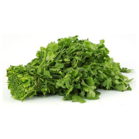 Bl Coriander Leaves 1Pc